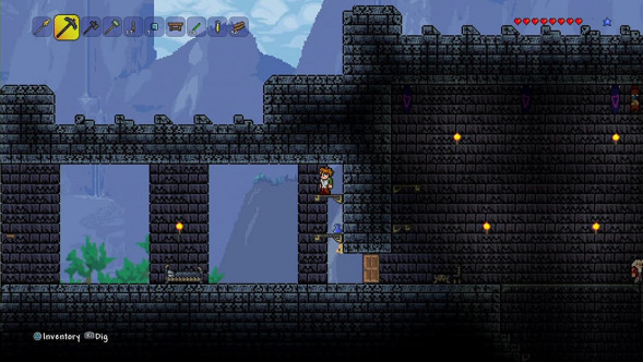 Игра Terraria [PS4, русские субтитры] во Владивостоке