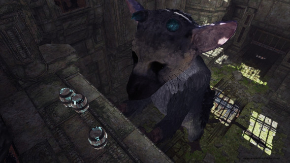 The Last Guardian: Последний хранитель [PS4, русские субтитры] во Владивостоке