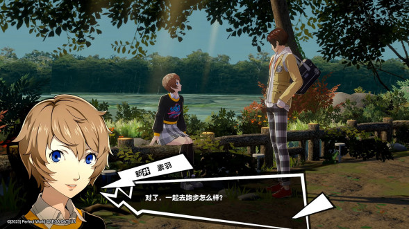 Persona 5 Royal [Nintendo Switch, английская версия] во Владивостоке