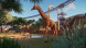 Игра Planet Zoo: Console Edition [PS5, английская версия] во Владивостоке