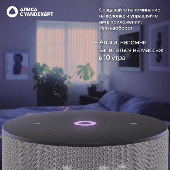 Умная колонка Яндекс Станция Мини 3 c Алисой на YandexGPT, серая во Владивостоке