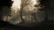 Игра GreedFall [PS4, русские субтитры] во Владивостоке