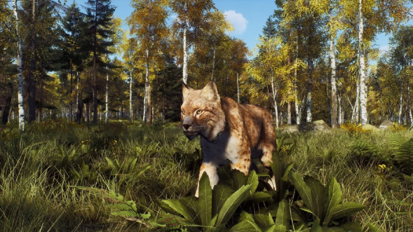 Игра Way of the Hunter: Wild Expeditions [PS5, русские субтитры] во Владивостоке
