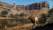 Игра Way of the Hunter: Wild Expeditions [PS5, русские субтитры] во Владивостоке