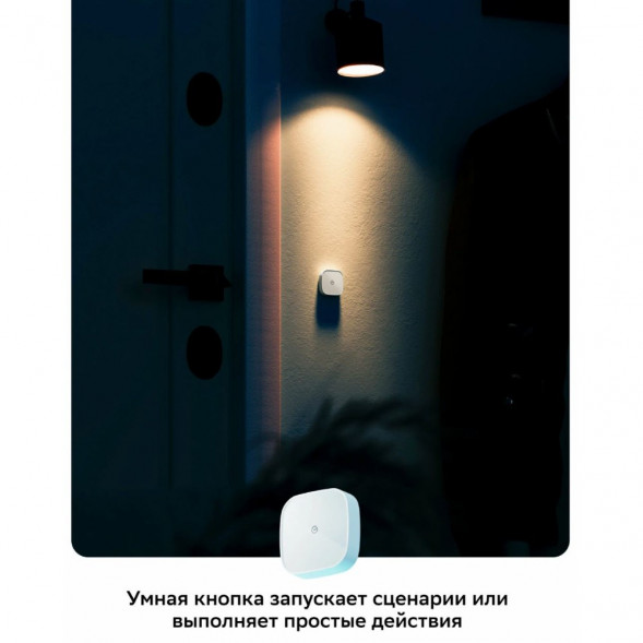 Умная кнопка Sber SBDV-00032 во Владивостоке