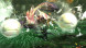 Игра Monster Hunter Generations Ultimate [Nintendo Switch, английская версия] во Владивостоке