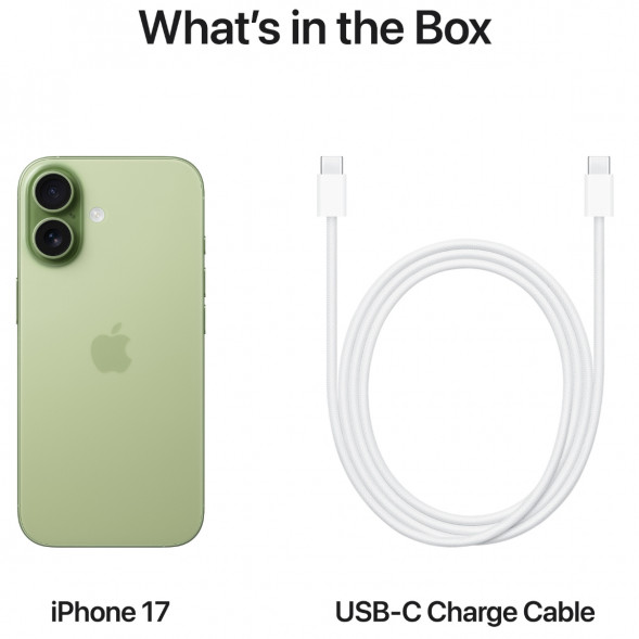 Смартфон Apple iPhone 17 256GB eSim, Sage во Владивостоке