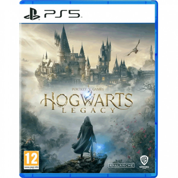 Игра Hogwarts Legacy Standard Edition для PlayStation 5 во Владивостоке