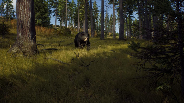 Игра Way of the Hunter [PS5, русские субтитры] во Владивостоке