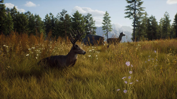 Игра Way of the Hunter [PS5, русские субтитры] во Владивостоке