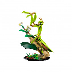 Конструктор LEGO Ideas 21342 Коллекция насекомых