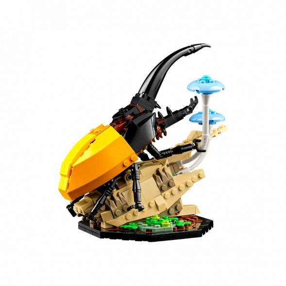 Конструктор LEGO Ideas 21342 Коллекция насекомых во Владивостоке