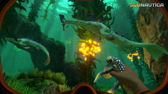 Игра Subnautica [PS4, русские субтитры] во Владивостоке