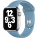 Ремешок для Apple Watch 40mm Northern Blue Sport Band (MYD02ZM/A), скандинавский синий во Владивостоке