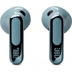 Беспроводные наушники JBL Live Flex 3, Blue