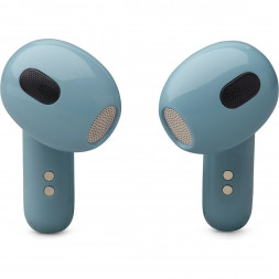 Беспроводные наушники JBL Live Flex 3, Blue