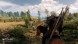 Игра Witcher 3: Wild Hunt (Ведьмак 3: Дикая Охота) Game of the year Edition [PS4, русские субтитры] во Владивостоке