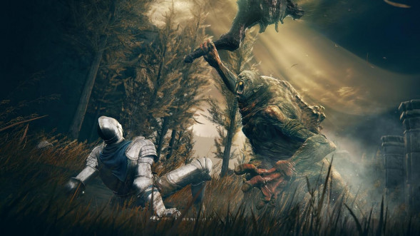 Игра Elden Ring: Shadow of the Erdtree Edition [PS5, русские субтитры] во Владивостоке