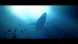 Игра Under The Waves [PS4, русские субтитры] во Владивостоке