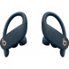 Беспроводные наушники Beats Powerbeats Pro, Navy (MY592ZM/A) во Владивостоке
