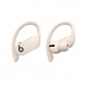 Беспроводные наушники Beats Powerbeats Pro, Ivory (MY5D2ZM/A) во Владивостоке