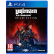 Игра Wolfenstein Youngblood Deluxe Edition [PS4, русская версия] во Владивостоке