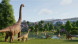 Игра Jurassic World: Evolution 3 [PS5, английская версия] во Владивостоке