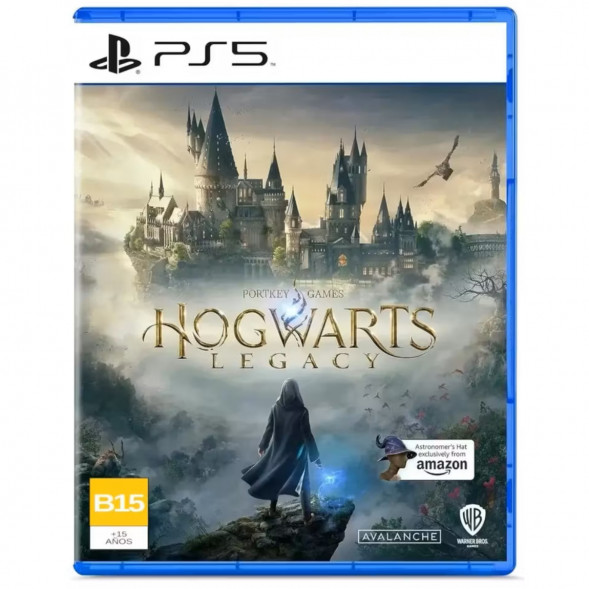Игра Hogwarts Legacy. Exclusive DLC Astronomers Hat [PS5, русские субтитры] во Владивостоке