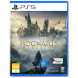 Игра Hogwarts Legacy. Exclusive DLC Astronomers Hat [PS5, русские субтитры] во Владивостоке