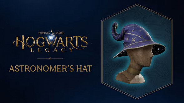 Игра Hogwarts Legacy. Exclusive DLC Astronomers Hat [PS5, русские субтитры] во Владивостоке