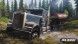 Игра Spintires: MudRunner American Wilds [Nintendo Switch, русские субтитры] во Владивостоке